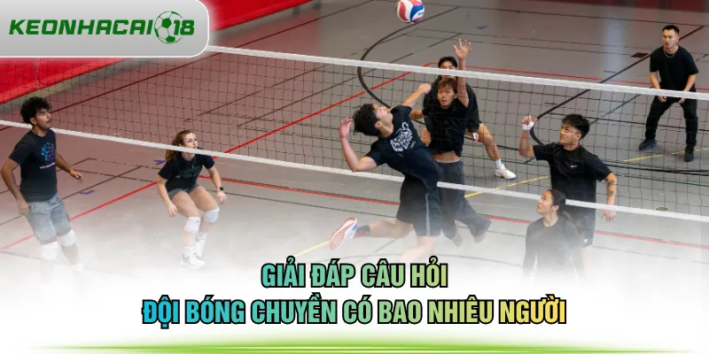 Giải đáp câu hỏi đội bóng chuyền có bao nhiêu người